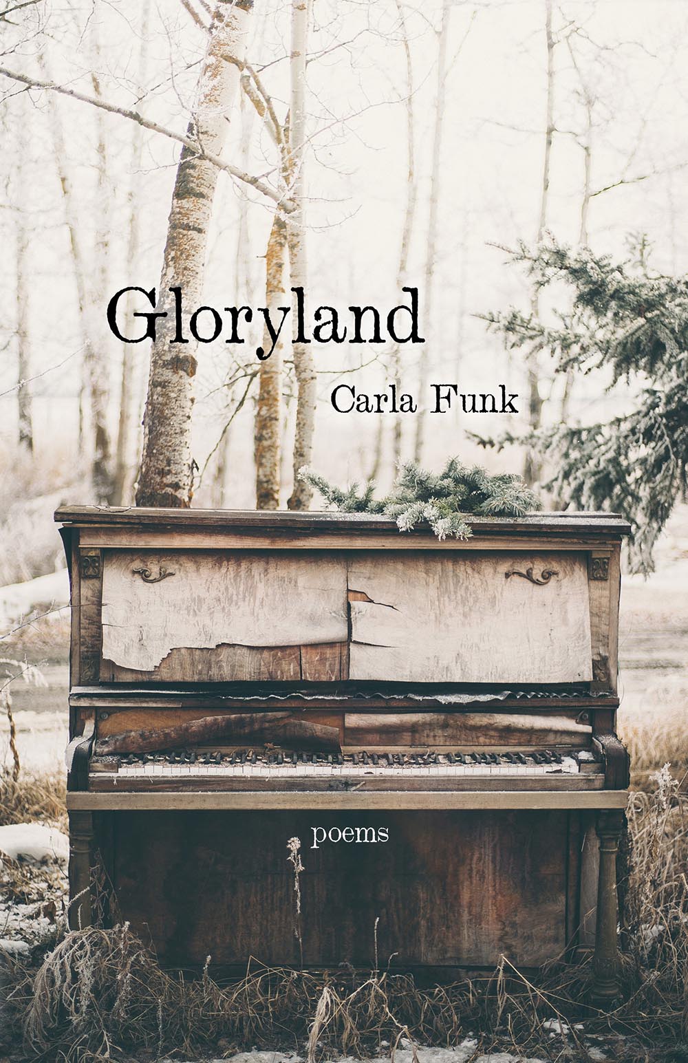 cover: Gloryland by Carla Funk